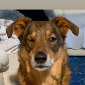 Meet your Posher, Moira